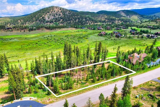 550 Gold Run Rd, Breckenridge, CO 80424 - photo 2