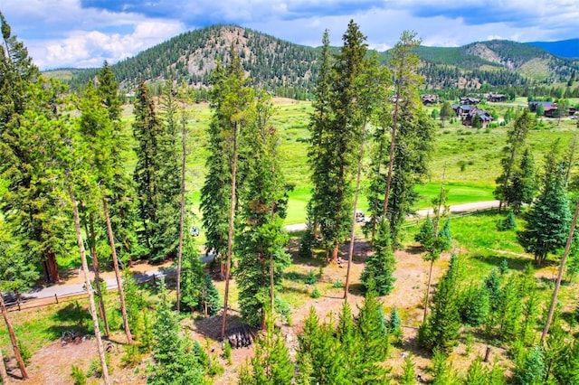 550 Gold Run Rd, Breckenridge, CO 80424 - photo 13