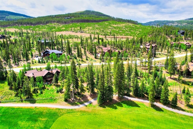 550 Gold Run Rd, Breckenridge, CO 80424 - photo 10