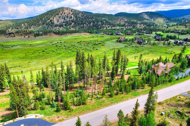 550 Gold Run Rd, Breckenridge, CO 80424 - photo 1