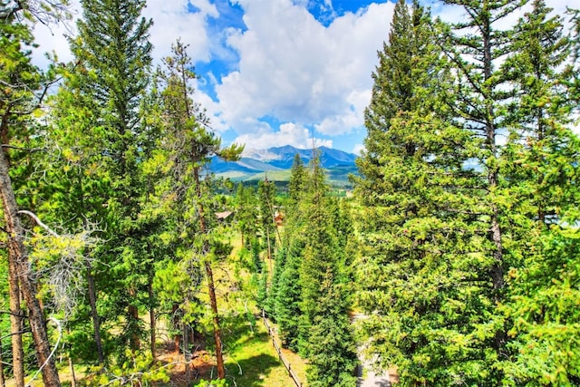 550 Gold Run Rd, Breckenridge, CO 80424 - photo 14