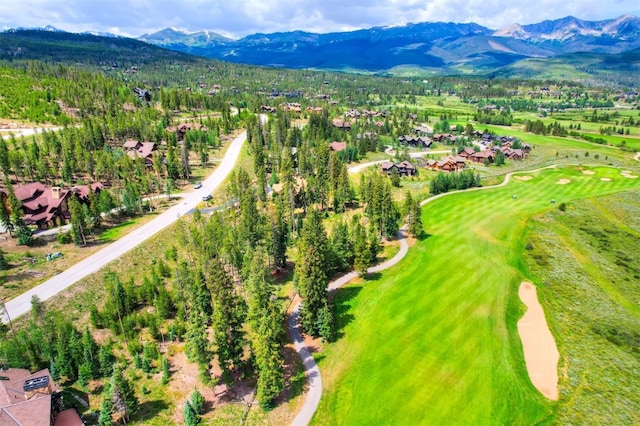 550 Gold Run Rd, Breckenridge, CO 80424 - photo 7