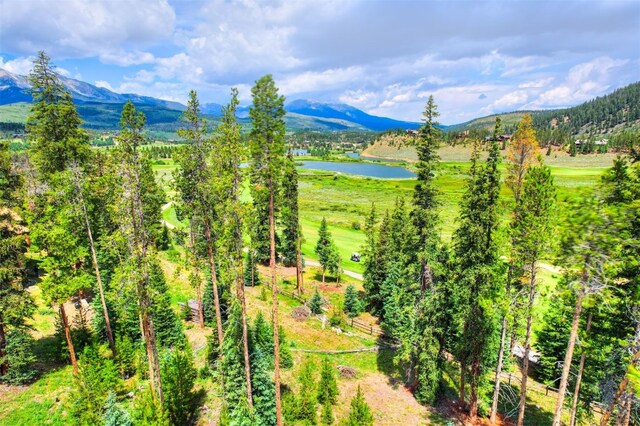 550 Gold Run Rd, Breckenridge, CO 80424 - photo 11