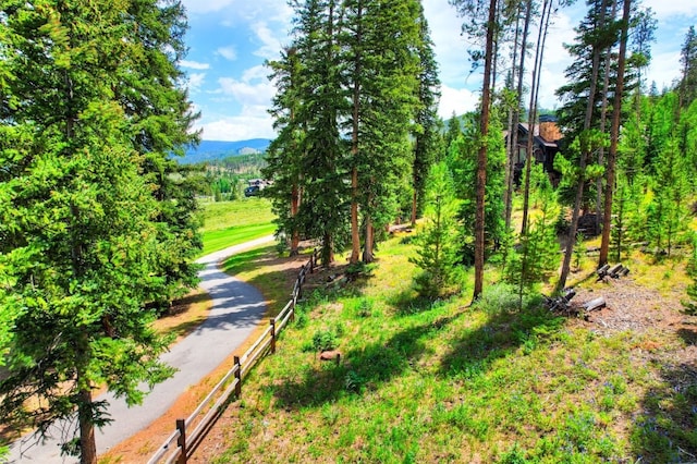 550 Gold Run Rd, Breckenridge, CO 80424 - photo 12