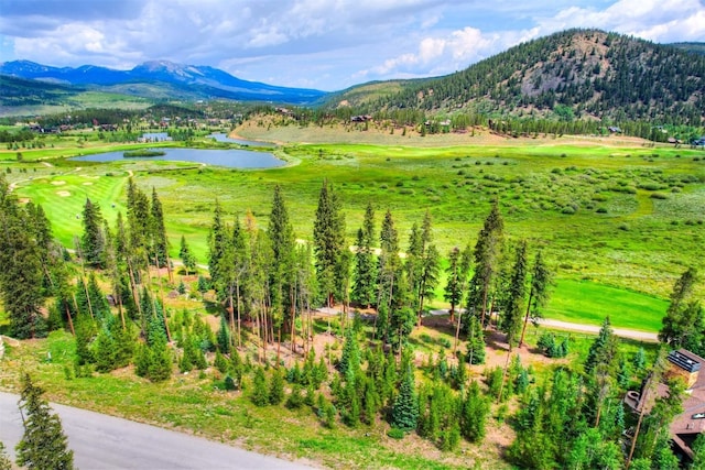 550 Gold Run Rd, Breckenridge, CO 80424 - photo 4