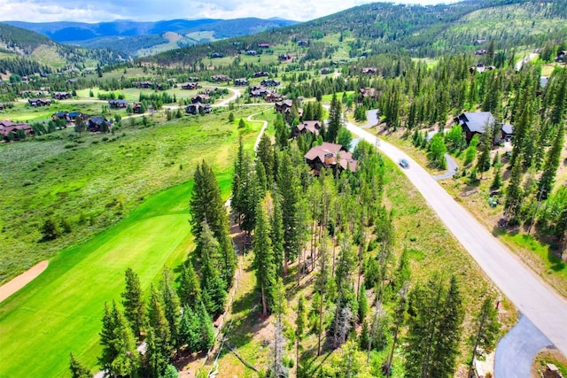 550 Gold Run Rd, Breckenridge, CO 80424 - photo 9