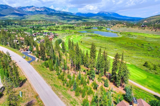 550 Gold Run Rd, Breckenridge, CO 80424 - photo 6