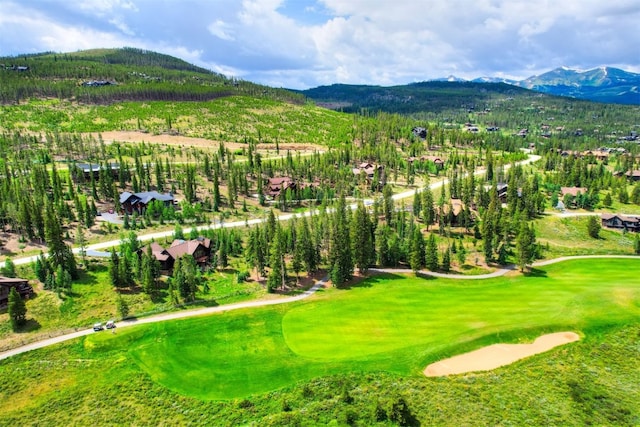 550 Gold Run Rd, Breckenridge, CO 80424 - photo 8