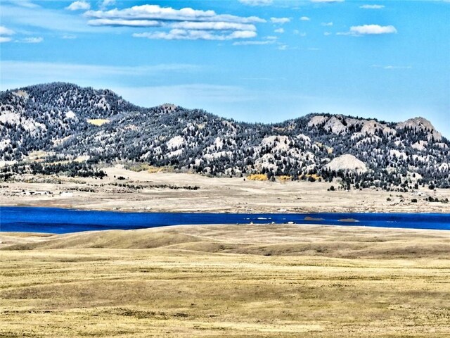 0 County Road 116, Guffey, CO 80820