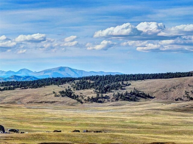 0 County Road 116, Guffey, CO 80820
