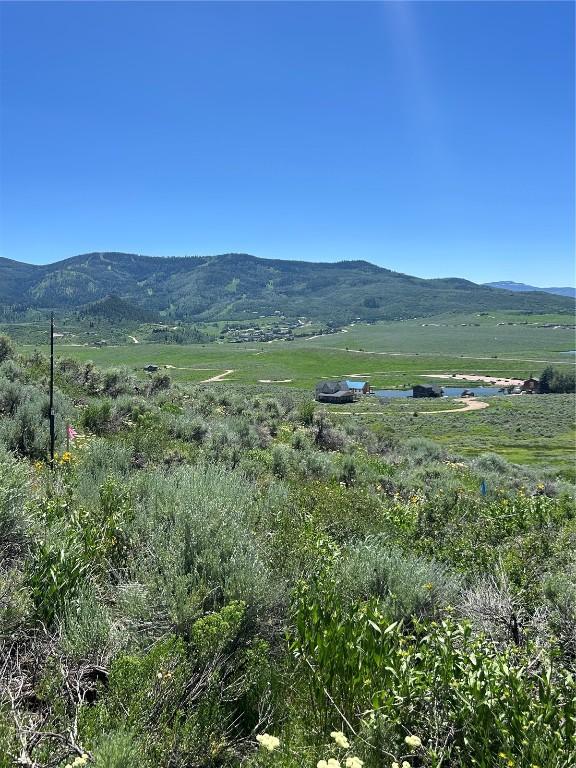 31590 Shoshone Way, Oak Creek, CO 80467