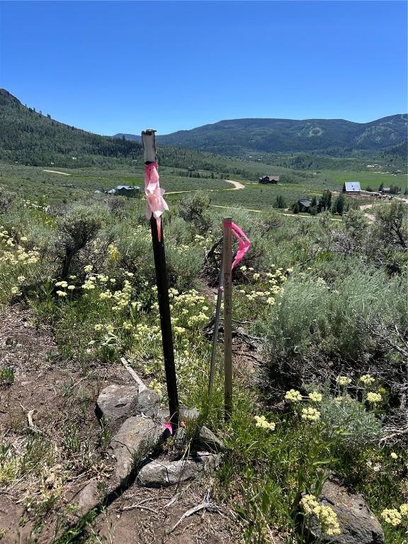 31590 Shoshone Way, Oak Creek, CO 80467