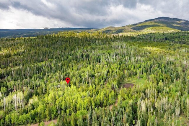 336 Blue Spruce Rd, Silverthorne, CO 80498 - photo 3