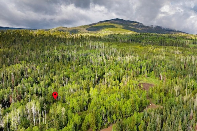 336 Blue Spruce Rd, Silverthorne, CO 80498 - photo 2