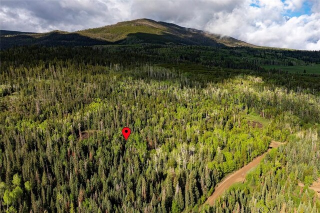 336 Blue Spruce Rd, Silverthorne, CO 80498 - photo 10