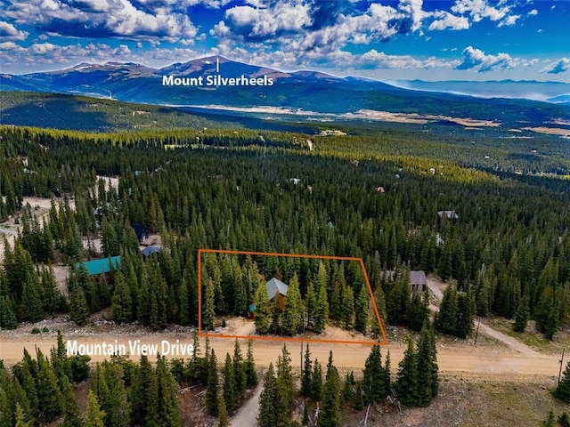 1205 Mountain View Dr, Fairplay, CO 80440 - photo 48