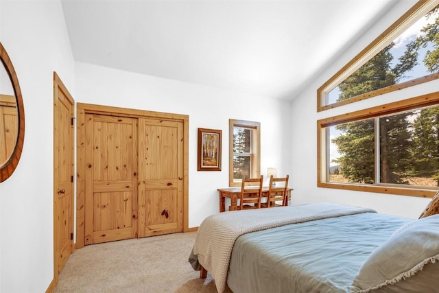 1205 Mountain View Dr, Fairplay, CO 80440 - photo 12