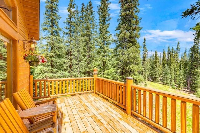 1205 Mountain View Dr, Fairplay, CO 80440 - photo 19
