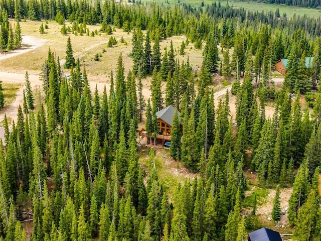 1205 Mountain View Dr, Fairplay, CO 80440 - photo 45