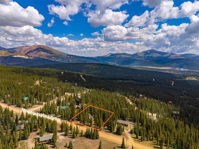 1205 Mountain View Dr, Fairplay, CO 80440 - photo 49