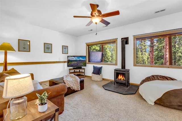 1205 Mountain View Dr, Fairplay, CO 80440 - photo 32