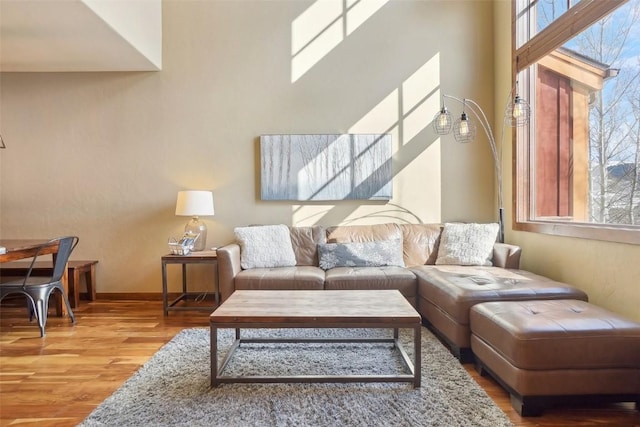 0050 County Road 1293 Unit B, Silverthorne, CO 80498 - living area featuring baseboards and wood finished floors