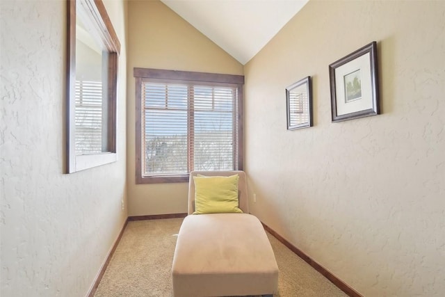 0050 County Road 1293 Unit B, Silverthorne, CO 80498 - sitting room featuring baseboards, carpet floors, a textured wall, and lofted ceiling