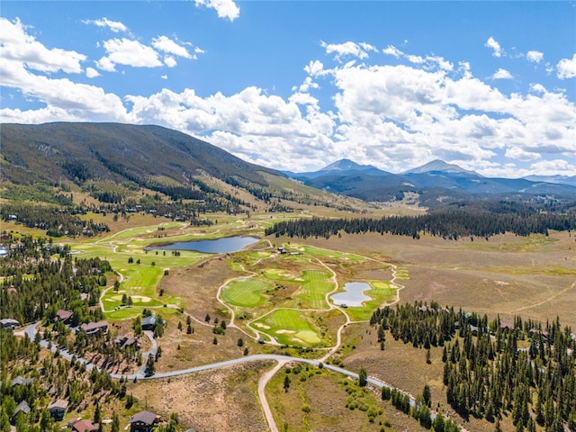 840 Penstemon Rd, Keystone, CO 80435 - photo 47