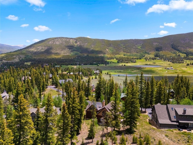 840 Penstemon Rd, Keystone, CO 80435 - photo 49