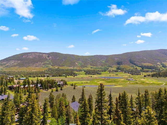 840 Penstemon Rd, Keystone, CO 80435 - photo 50