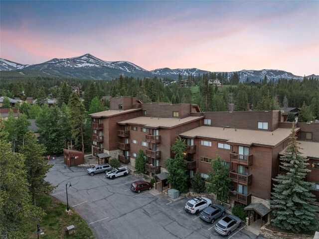 400 Four Oclock Rd Unit C, Breckenridge, CO 80424 - photo 39