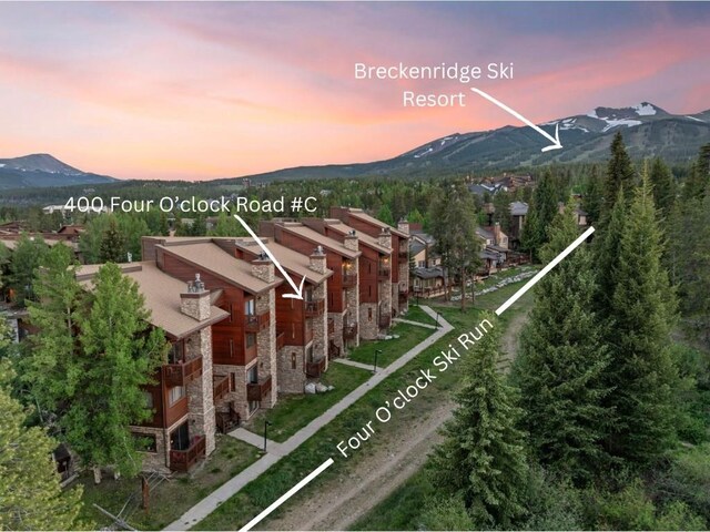 400 Four Oclock Rd Unit C, Breckenridge, CO 80424 - photo 1