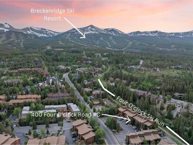 400 Four Oclock Rd Unit C, Breckenridge, CO 80424 - photo 9