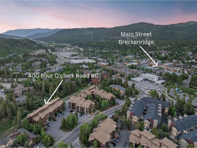 400 Four Oclock Rd Unit C, Breckenridge, CO 80424 - photo 8