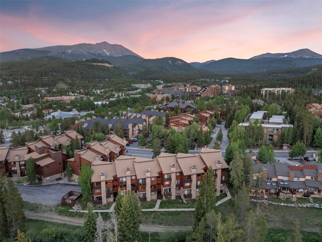 400 Four Oclock Rd Unit C, Breckenridge, CO 80424 - photo 38