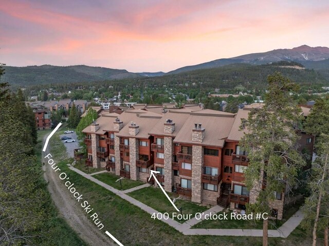 400 Four Oclock Rd Unit C, Breckenridge, CO 80424 - photo 33