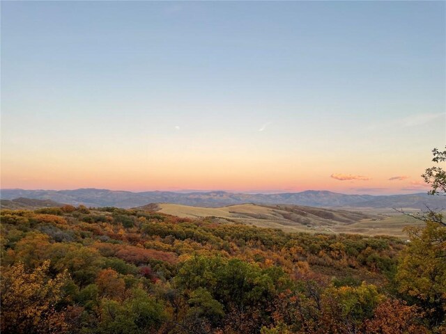 TBD County Road 46a, Steamboat Springs, CO 80487 - photo 13