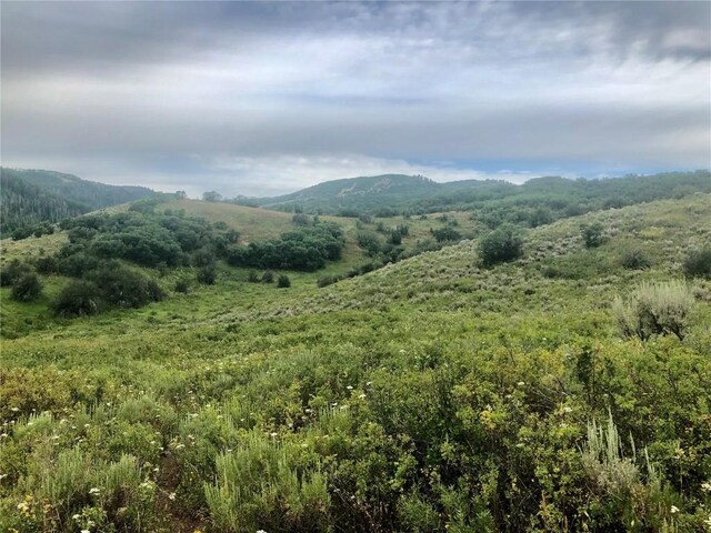 TBD County Road 46a, Steamboat Springs, CO 80487 - photo 16