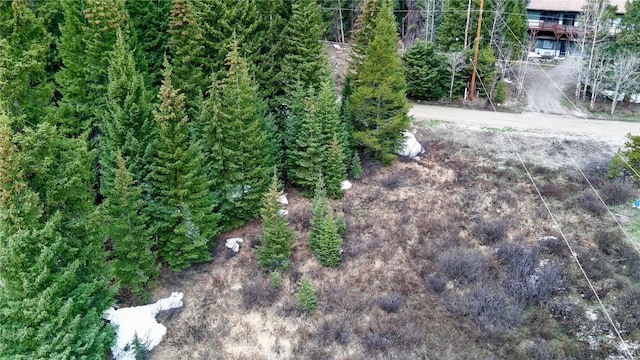 498 97th Cir, Blue River, CO 80424