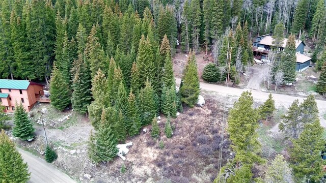 498 97th Cir, Blue River, CO 80424