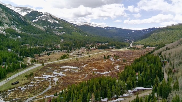 498 97th Cir, Blue River, CO 80424