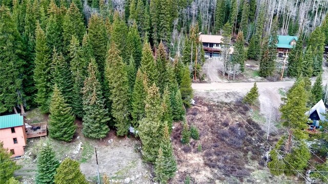 498 97th Cir, Blue River, CO 80424