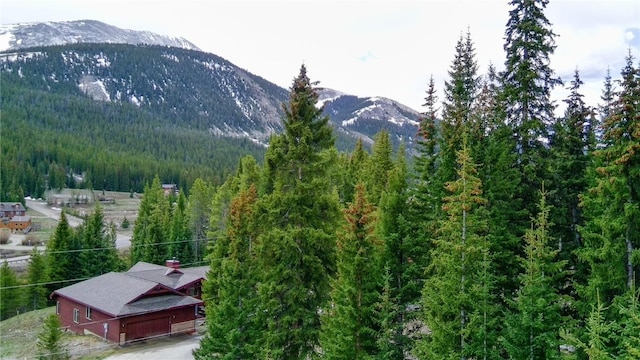 498 97th Cir, Blue River, CO 80424