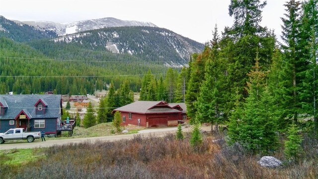 498 97th Cir, Blue River, CO 80424