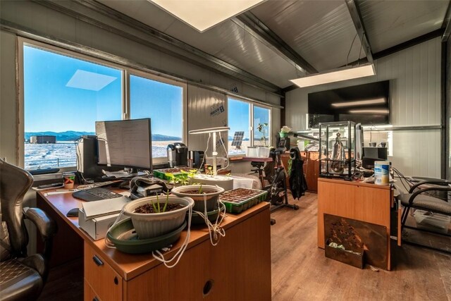 2299 Salt Ranch Trl, Hartsel, CO 80449