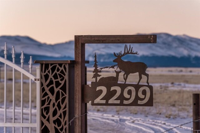 2299 Salt Ranch Trl, Hartsel, CO 80449