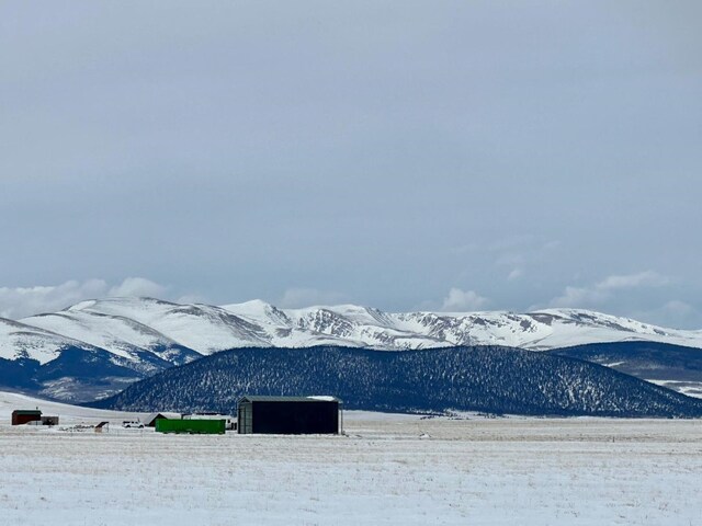 2299 Salt Ranch Trl, Hartsel, CO 80449