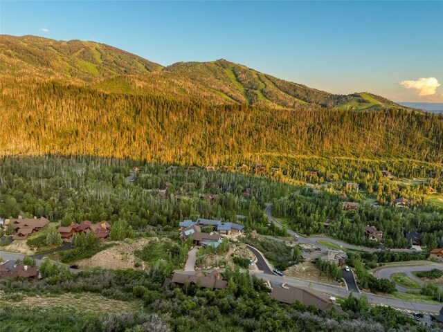 2990 Heavenly Vw, Steamboat Springs, CO 80487 - photo 47