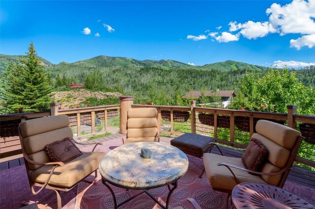2990 Heavenly Vw, Steamboat Springs, CO 80487 - photo 20