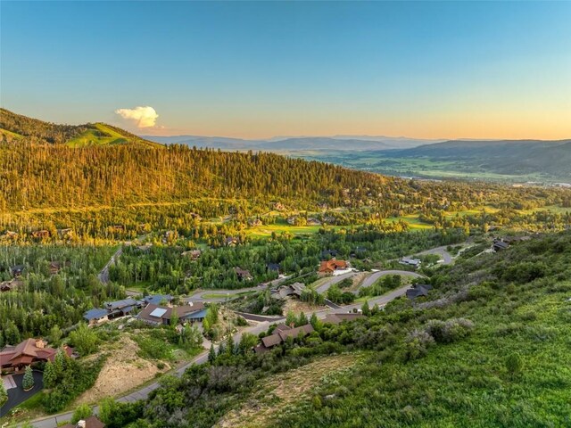 2990 Heavenly Vw, Steamboat Springs, CO 80487 - photo 46